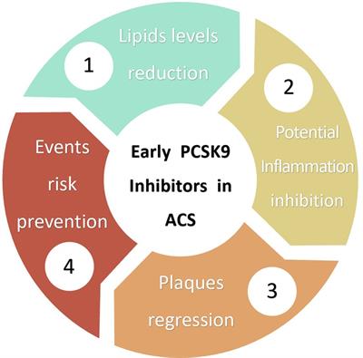 PCSK9 inhibitors for acute coronary syndrome: the era of early implementation